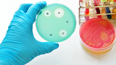 Investigational Antibiotic Effective Against Drug-Resistant Bacteria in Phase 2 Trial