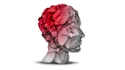 HPLC as a Diagnostic Tool for Concussion