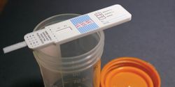 How to Detect Tampered Drug Tests