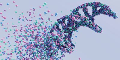 DNA strand dissolving