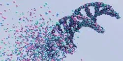 DNA strand dissolving