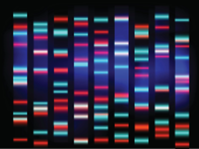 Clinical Applications of Capillary Electrophoresis Methods