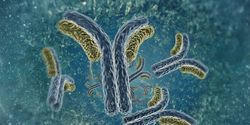 Trends in Clinical Microbiology Diagnostic Methods