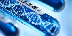 Genetic Testing Concept