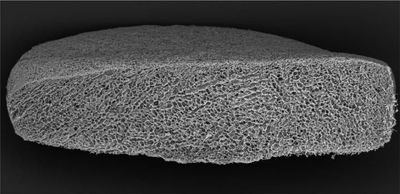 A Bioengineered Factory for T-Cells