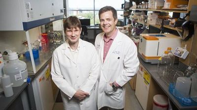 aug2-antibodies-ebola