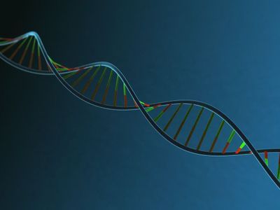 Study Questions Value of Genetic Risk Scores