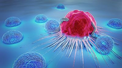 Tertiary Lymphoid Structures Help Sustain an Immune-Responsive Tumor Microenvironment in Melanoma Patients