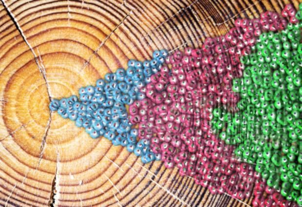 Artist's interpretation of pinpointing the onset of cancer progression