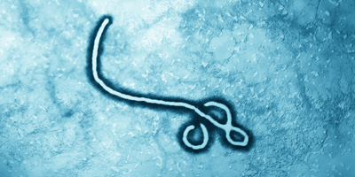 Ebola Virus