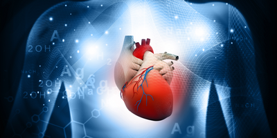 Heart Disease Risk Graphic