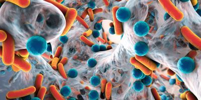 Biofilms
