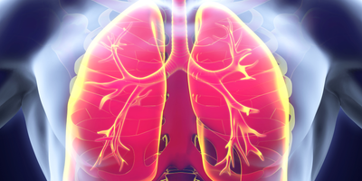 Lungs Graphic
