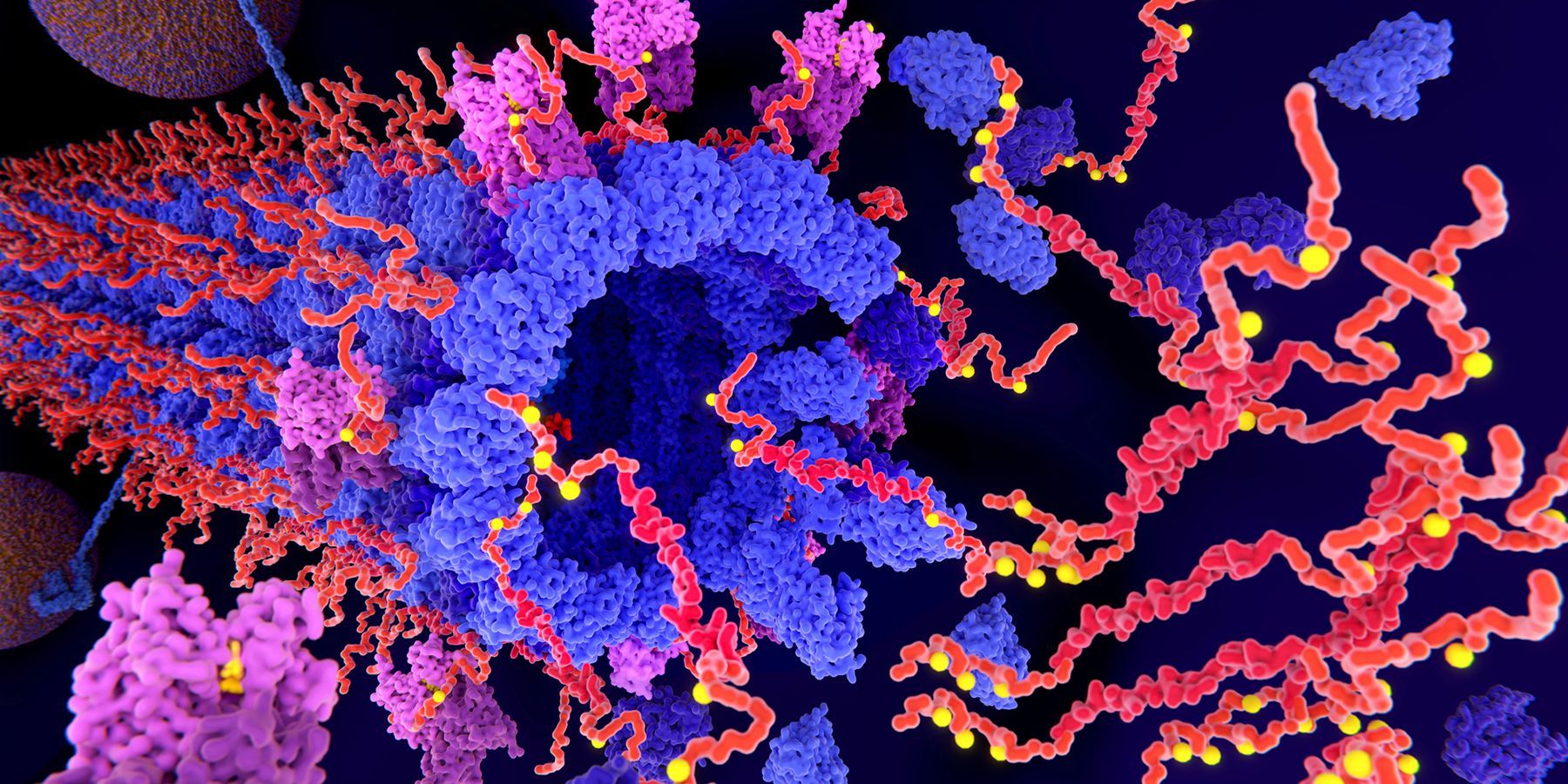 Alzheimer's Tau Protein