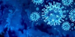 Coronavirus Illustration