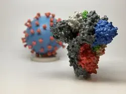3D Print of a Spike Protein of SARS-CoV-2