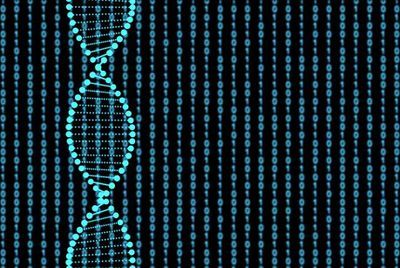 What Are the Differences Between DNA and RNA Probes?