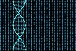 What Are the Differences Between DNA and RNA Probes?