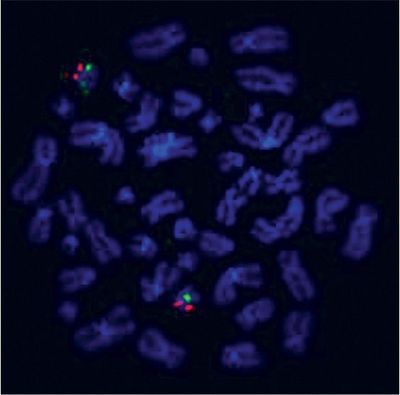 FISH Tips and Troubleshooting