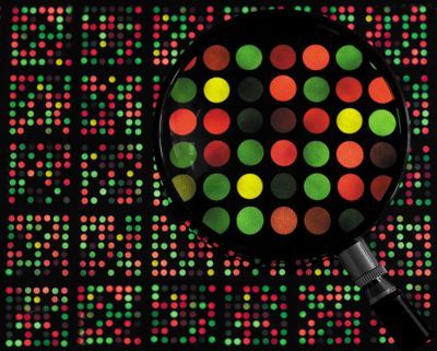 FISH: Fluorescence In Situ Hybridization