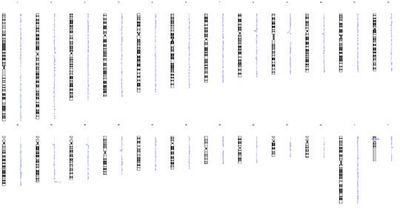 How to Choose the Right Cytogenetics Technique For Your Research