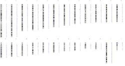 How to Choose the Right Cytogenetics Technique For Your Research How to Choose the Right Cytogenetics Technique For Your Research