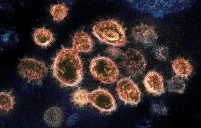 SARS-CoV-2 Virus