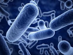 The Need for Faster UTI Pathogen Detection