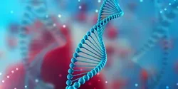 DNA