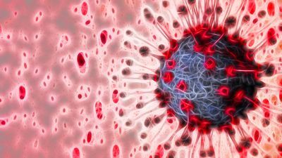 A Point-of-Care CRISPR-based COVID-19 Diagnostic on the Horizon