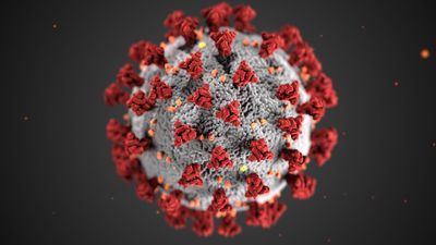 Coronavirus graphic