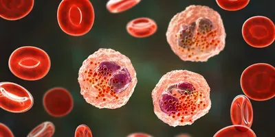 Autoimmunity