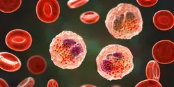 Autoimmunity