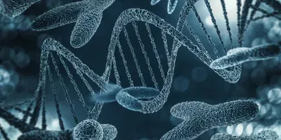 Chromosomes