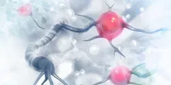 Role of Genetics in Alzheimer's Disease