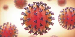 coronavirus illustration