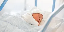 newborn baby