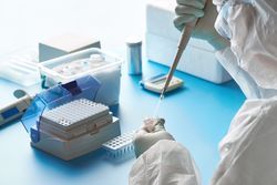 SARS-CoV-2: A Roadmap for Testing
