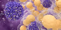 T-Cell Illustration