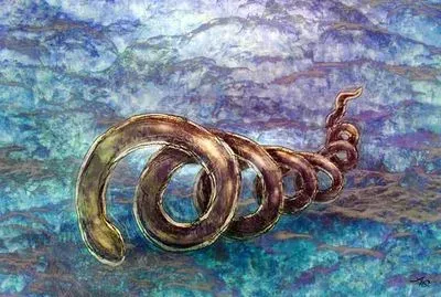 Syphilis Bacterium