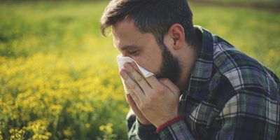 Pollen Allergy