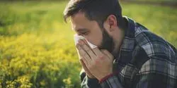 Pollen Allergy