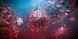 coronavirus diagnostics