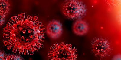 New AI Diagnostic Can Predict COVID-19 Without Testing