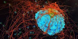 Cancer Cell Illustration