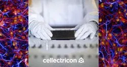 Cellectricon’s new neuroinflammation discovery services offer advanced insight into chronic pain