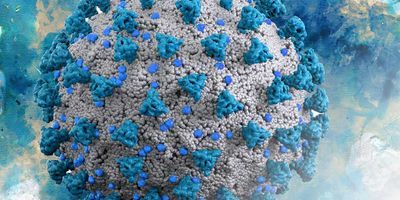 global COVID-19 digital pathology repository