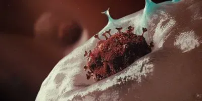Modified Clinical Trial Protocol for COVID-19 Pandemic