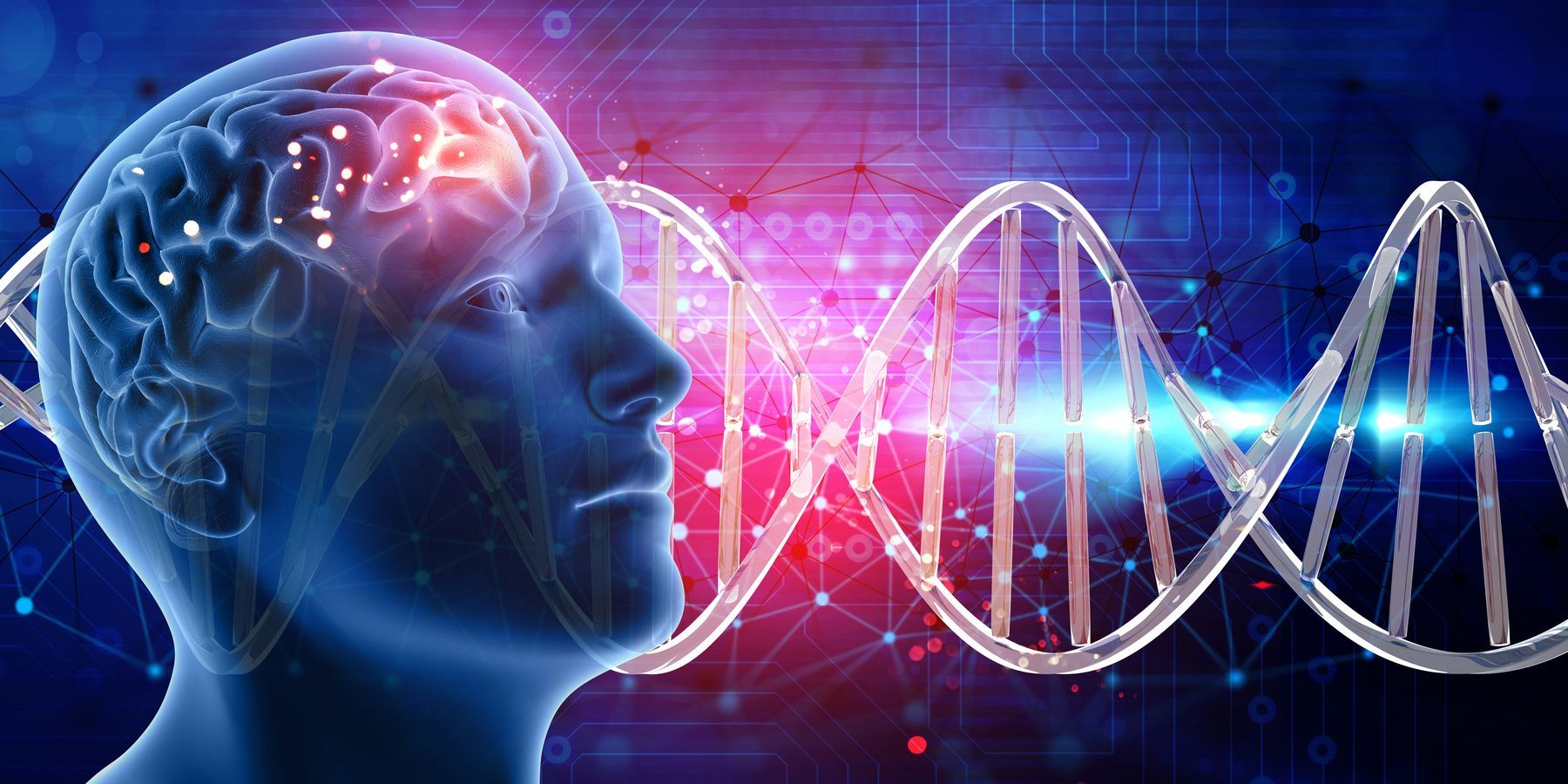 the genetics of schizophrenia