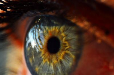 A Soft Spot for Stem Cells Helps Cornea Healing